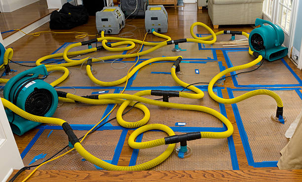 Professional Basement Flood Cleanup technician working in New River, AZ
